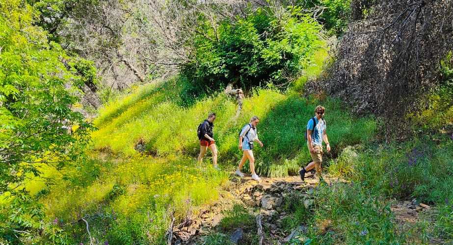 Wandeling Sequoia National Park